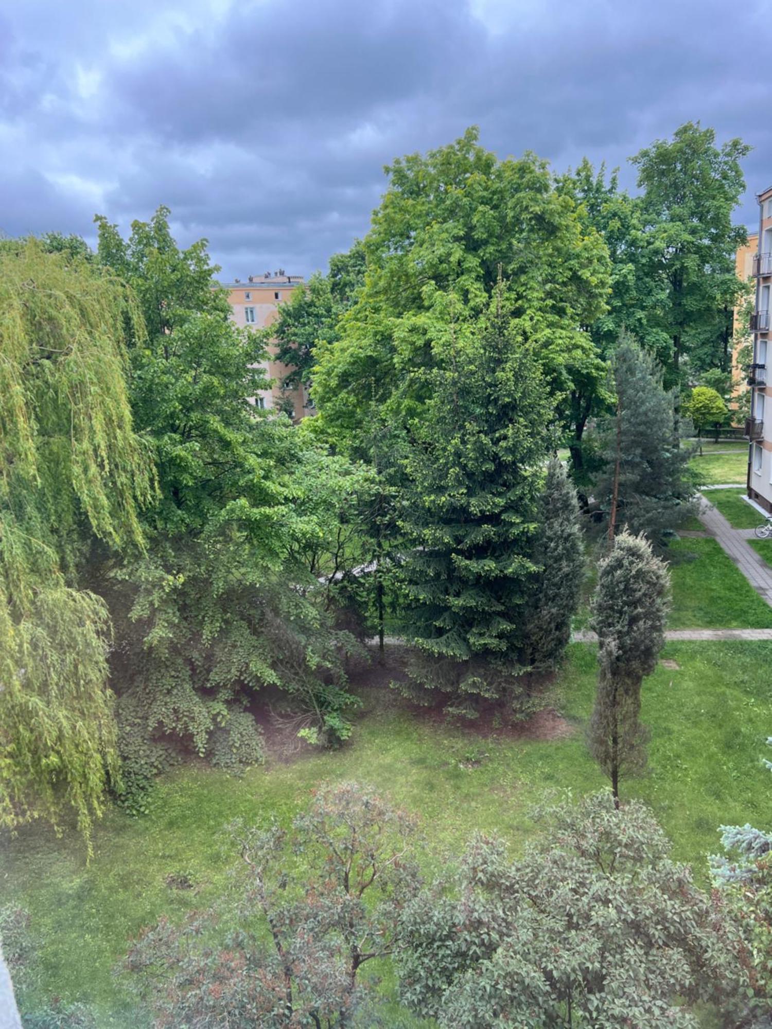 Zielona Ochota Apartment